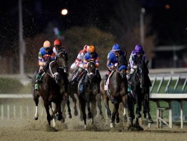 Timeform's US team pick out their three best bets